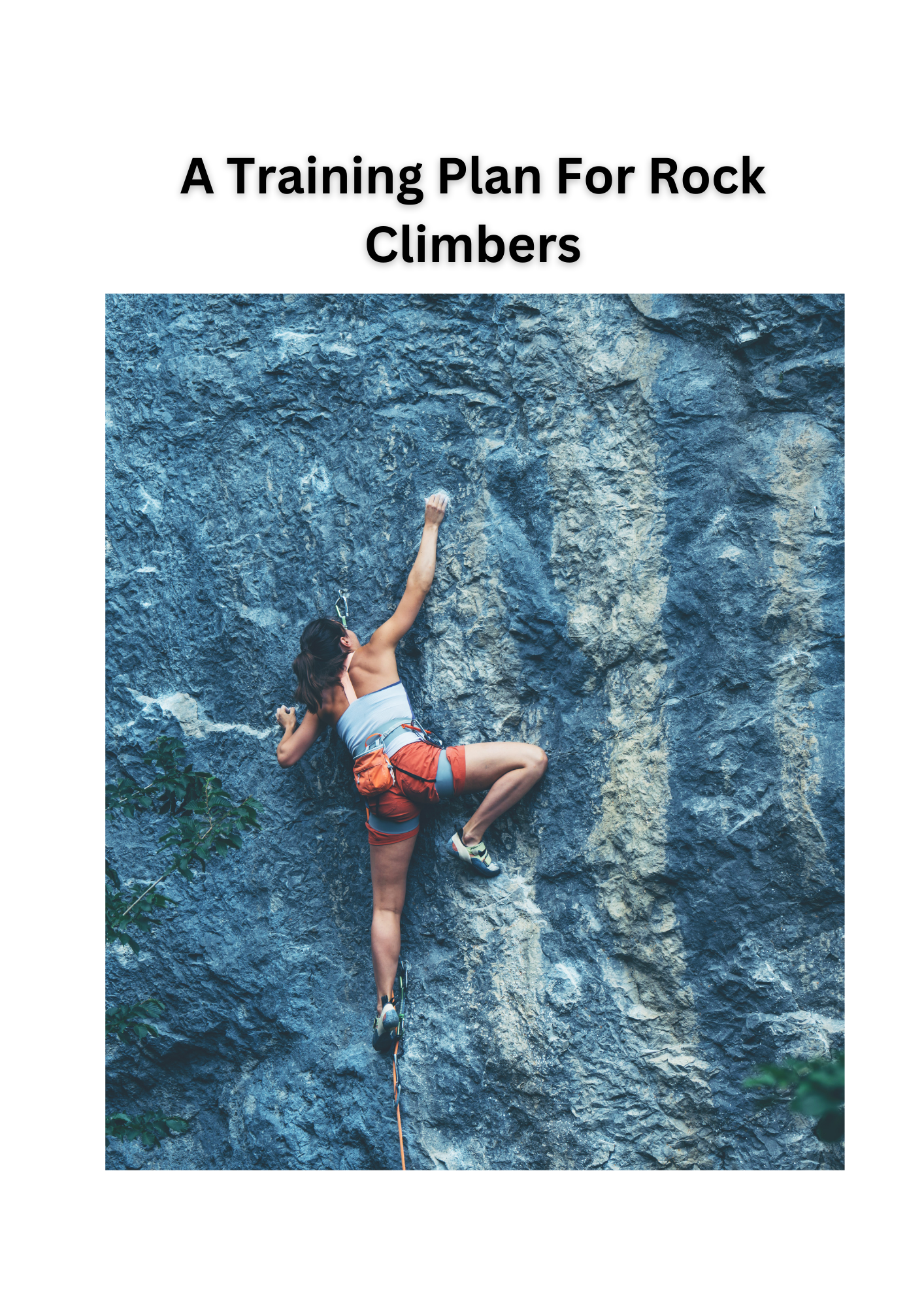 A training guide for rock climbers
