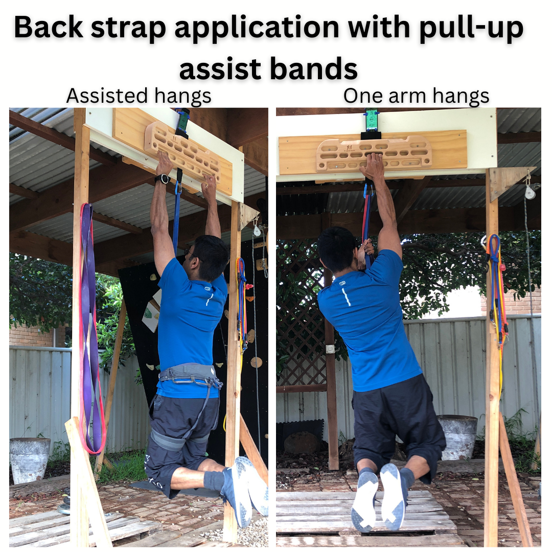 MOUNTAIN ROCKS climbing training equipment Climbing Hangboard Wildwood 2001 with Back Strap